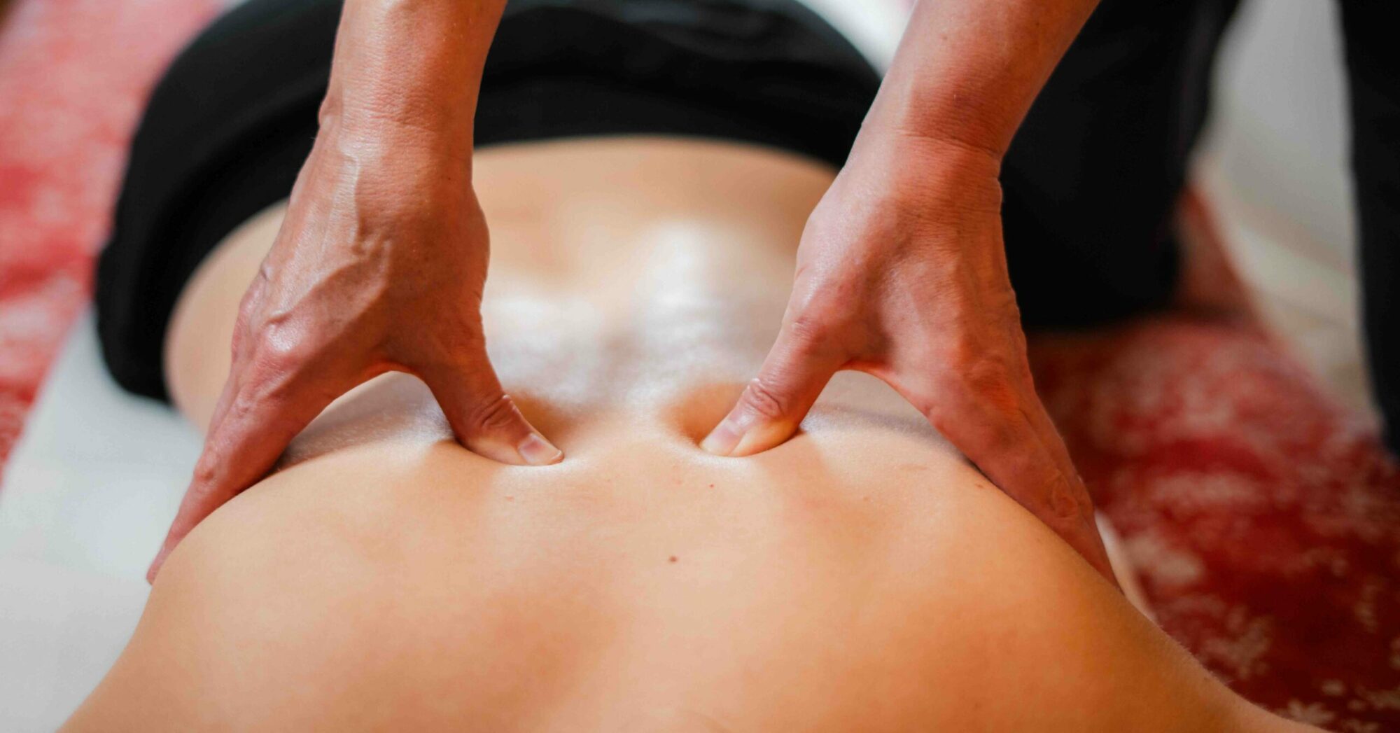 shitasu paris 17 orleans claire lisiecki